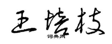曾庆福王培枝草书个性签名怎么写