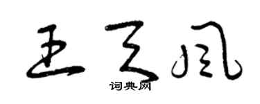 曾庆福王天风草书个性签名怎么写