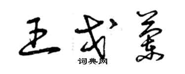 曾庆福王戈兰草书个性签名怎么写