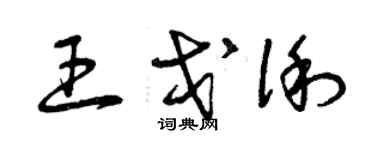 曾庆福王戈俐草书个性签名怎么写