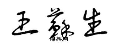 曾庆福王苏生草书个性签名怎么写