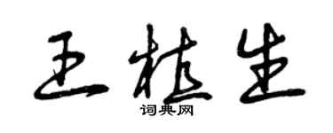 曾庆福王植生草书个性签名怎么写
