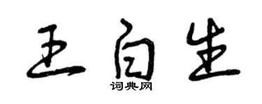 曾庆福王白生草书个性签名怎么写