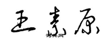 曾庆福王素原草书个性签名怎么写