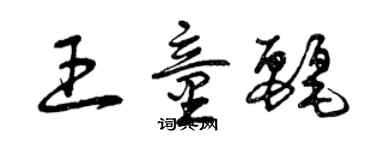 曾庆福王童丽草书个性签名怎么写