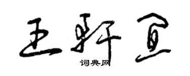 曾庆福王轩宜草书个性签名怎么写