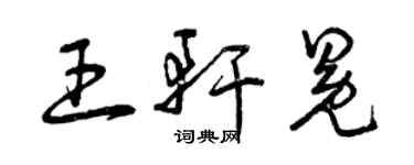曾庆福王轩冕草书个性签名怎么写