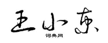 曾庆福王小京草书个性签名怎么写