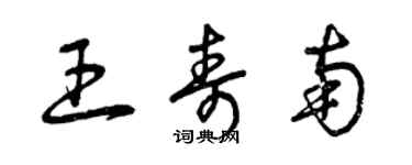 曾庆福王寿南草书个性签名怎么写