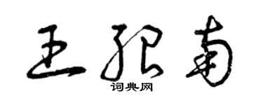 曾庆福王绍南草书个性签名怎么写
