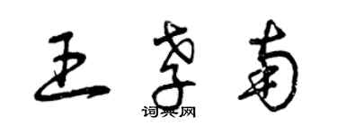 曾庆福王孝南草书个性签名怎么写