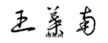 曾庆福王叶南草书个性签名怎么写