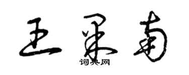 曾庆福王果南草书个性签名怎么写