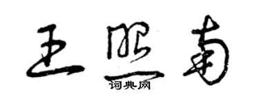 曾庆福王照南草书个性签名怎么写