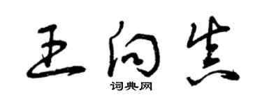 曾庆福王向真草书个性签名怎么写
