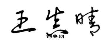 曾庆福王真晴草书个性签名怎么写