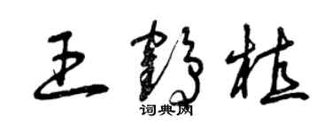 曾庆福王鹤植草书个性签名怎么写