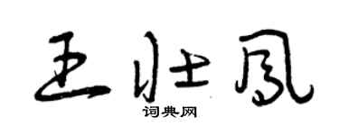 曾庆福王壮凤草书个性签名怎么写