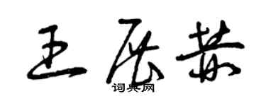 曾庆福王展赫草书个性签名怎么写