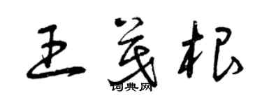 曾庆福王茂根草书个性签名怎么写