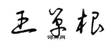 曾庆福王单根草书个性签名怎么写