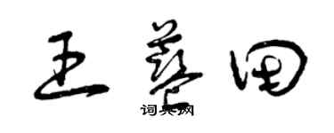 曾庆福王蓝田草书个性签名怎么写