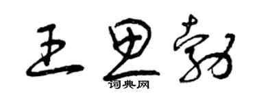 曾庆福王思勃草书个性签名怎么写