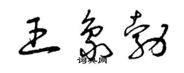 曾庆福王象勃草书个性签名怎么写