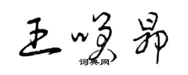 曾庆福王笑昂草书个性签名怎么写
