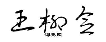 曾庆福王柳念草书个性签名怎么写