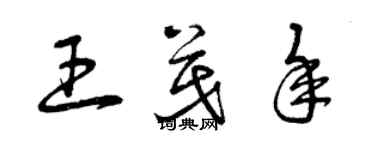 曾庆福王茂年草书个性签名怎么写