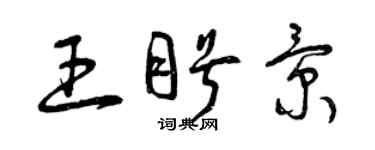 曾庆福王盼景草书个性签名怎么写