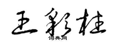 曾庆福王彩柱草书个性签名怎么写