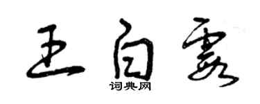曾庆福王白霞草书个性签名怎么写
