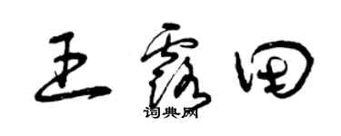曾庆福王露田草书个性签名怎么写