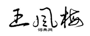 曾庆福王风梅草书个性签名怎么写