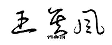 曾庆福王其风草书个性签名怎么写