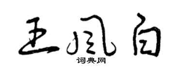 曾庆福王风白草书个性签名怎么写
