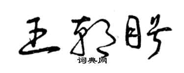 曾庆福王朝盼草书个性签名怎么写