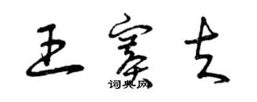 曾庆福王赛夫草书个性签名怎么写