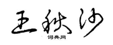 曾庆福王秋沙草书个性签名怎么写