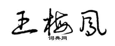 曾庆福王梅凤草书个性签名怎么写