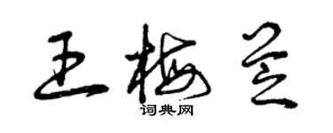 曾庆福王梅芝草书个性签名怎么写