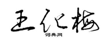 曾庆福王化梅草书个性签名怎么写