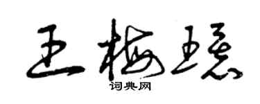 曾庆福王梅环草书个性签名怎么写