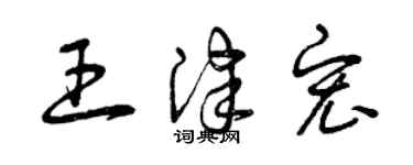 曾庆福王津宏草书个性签名怎么写