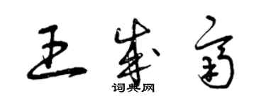 曾庆福王成齐草书个性签名怎么写