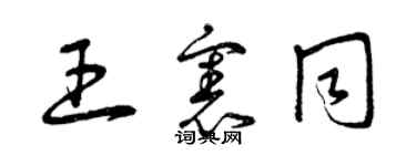 曾庆福王宪同草书个性签名怎么写