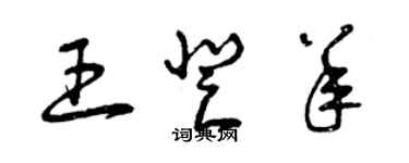曾庆福王登羊草书个性签名怎么写
