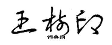 曾庆福王树印草书个性签名怎么写